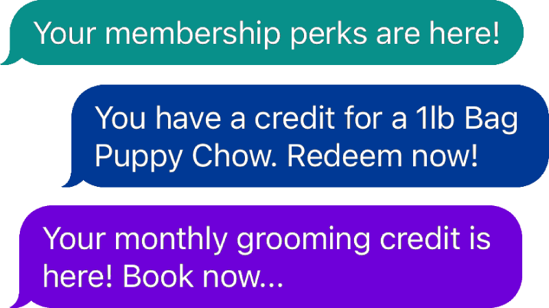 Pet and Groomer SMS Reminder Example